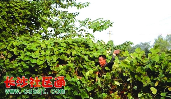 huangj15091085.JPG
